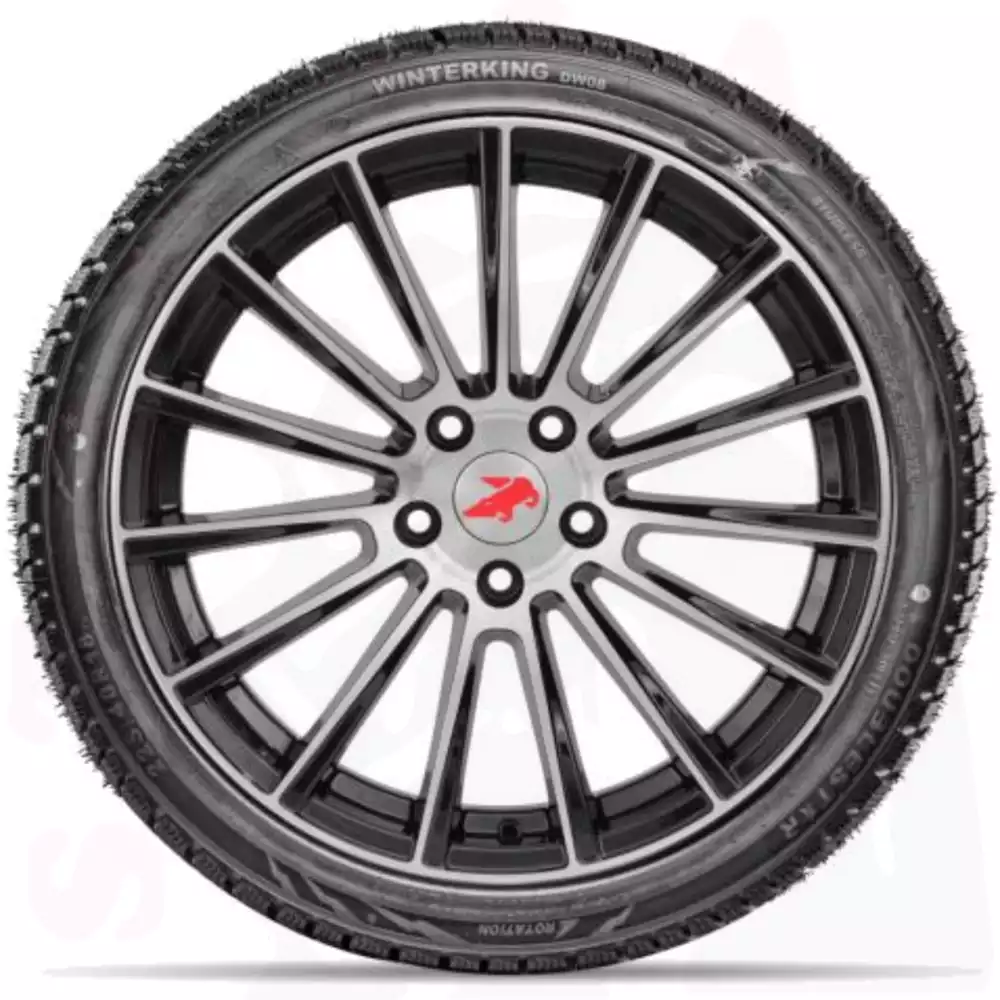 opona-doublestar-winterking-dw-08-o-wymiarach-165/65R14-79T-bok